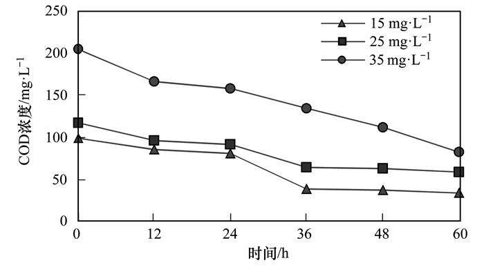 煤炭和竹炭是一样的吗