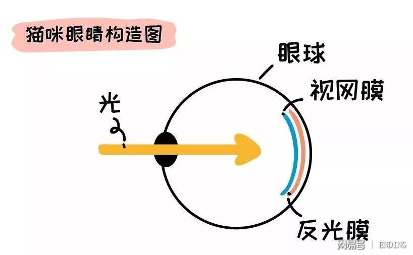 离合片材料