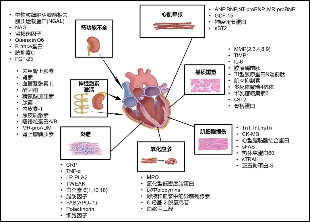 减压窗张力