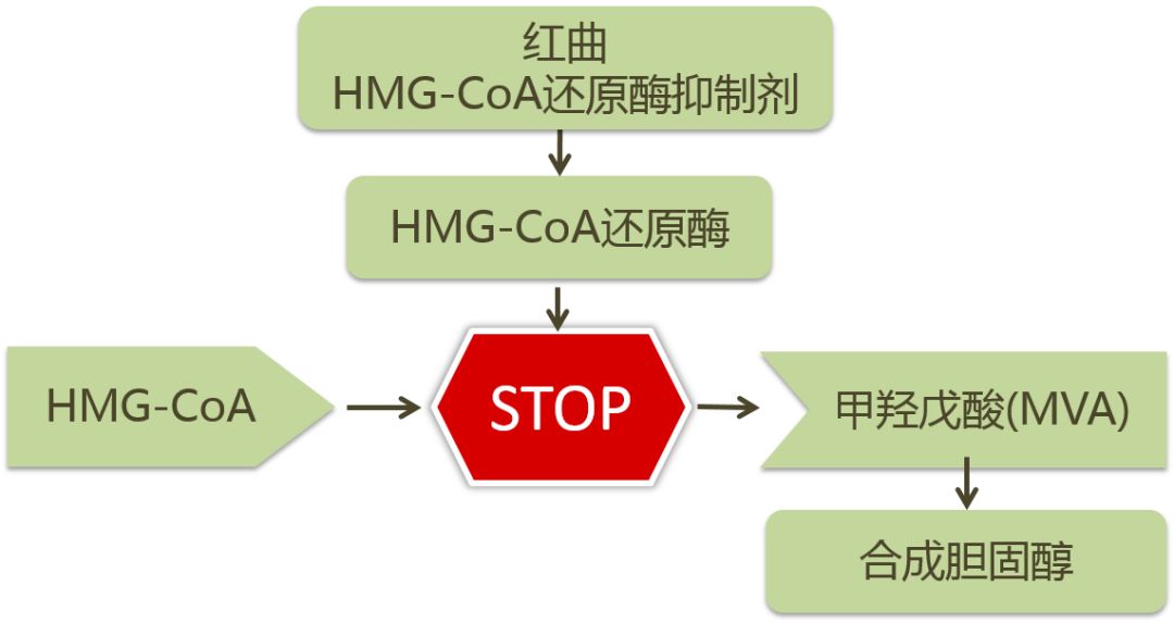 交联剂zdma